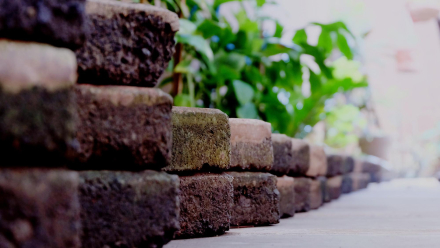 Gestaltung von Außenanlagen und Gartenwegen in Halle (Saale)