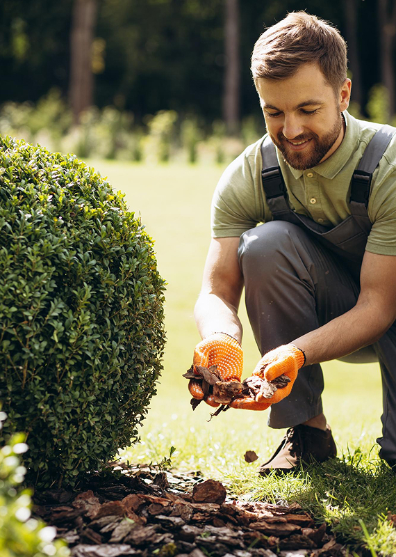 Professioneller Heckenschnitt und Gartenpflege vom Fachbetrieb in Halle (Saale)